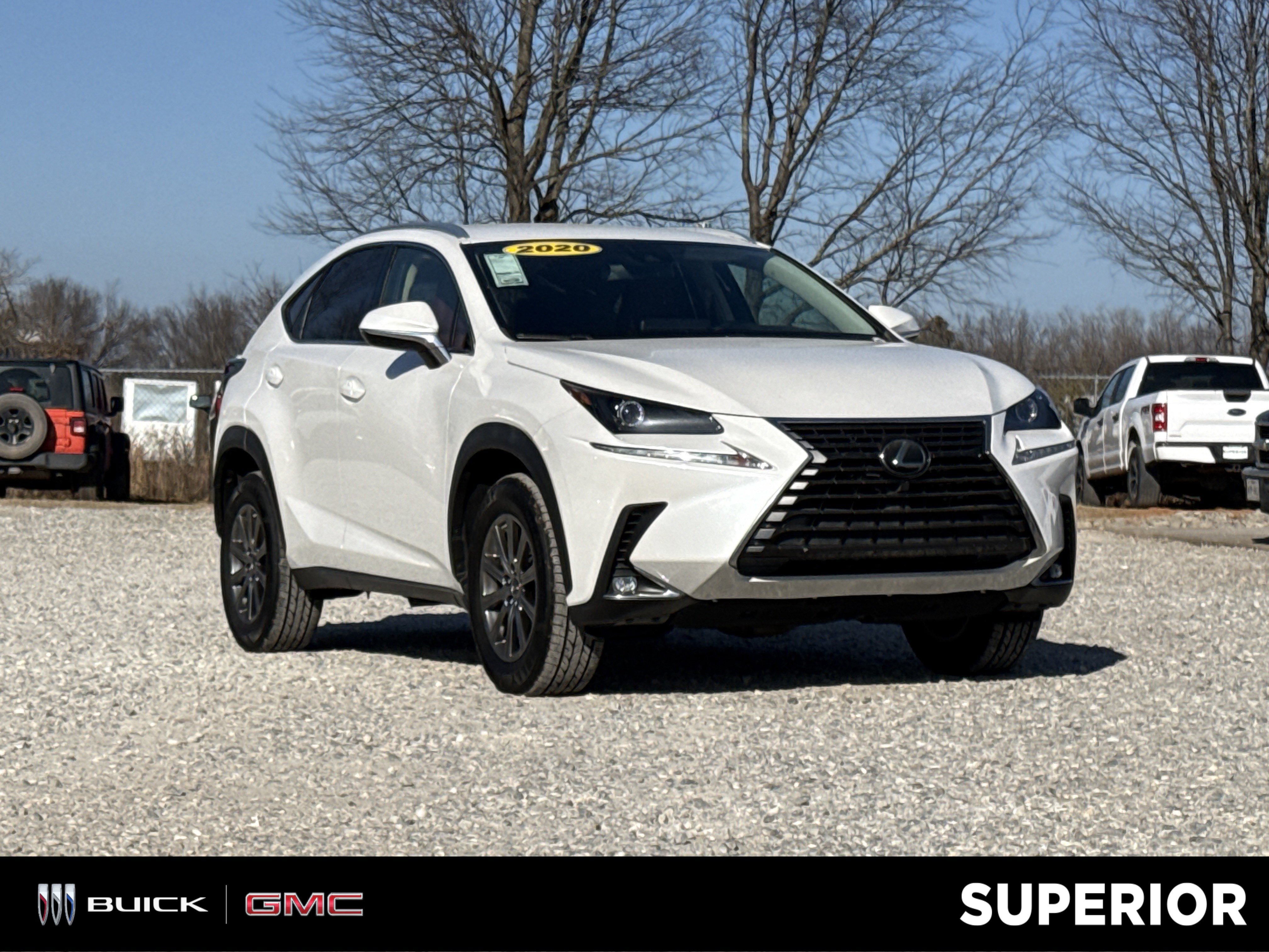 2020 Lexus NX 300's photo