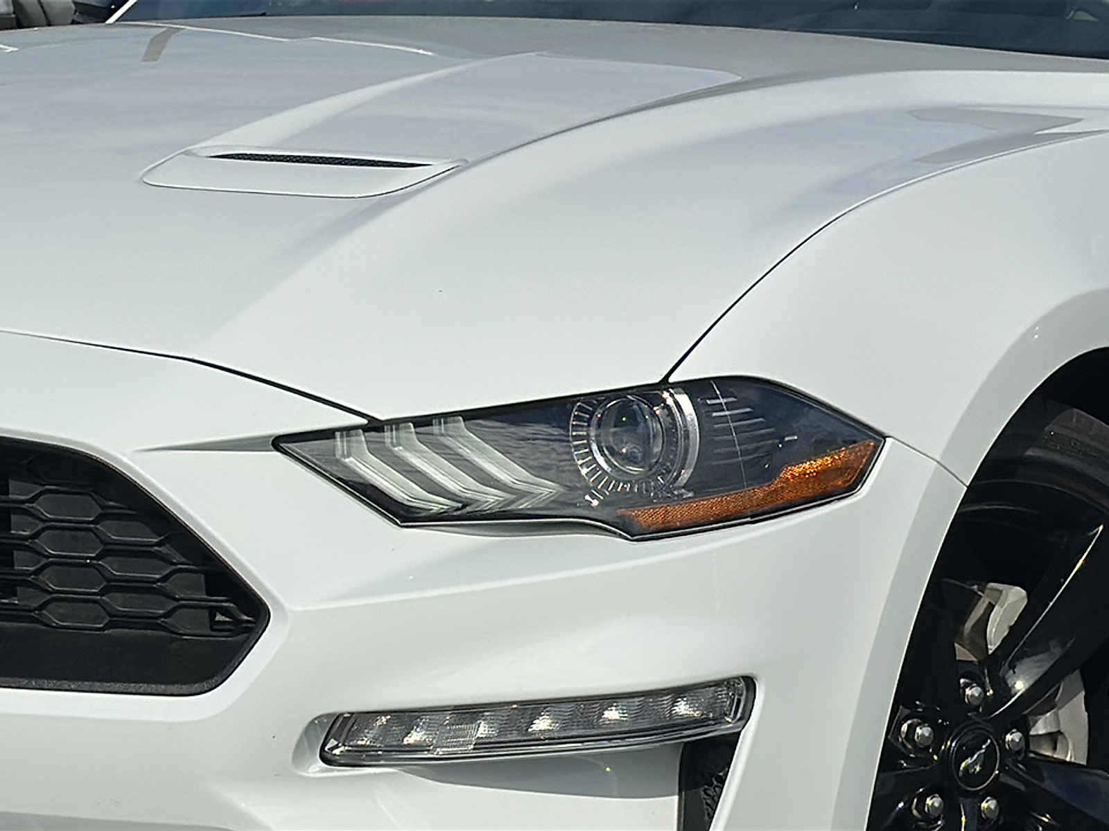 2023 Ford Mustang EcoBoost photo 2