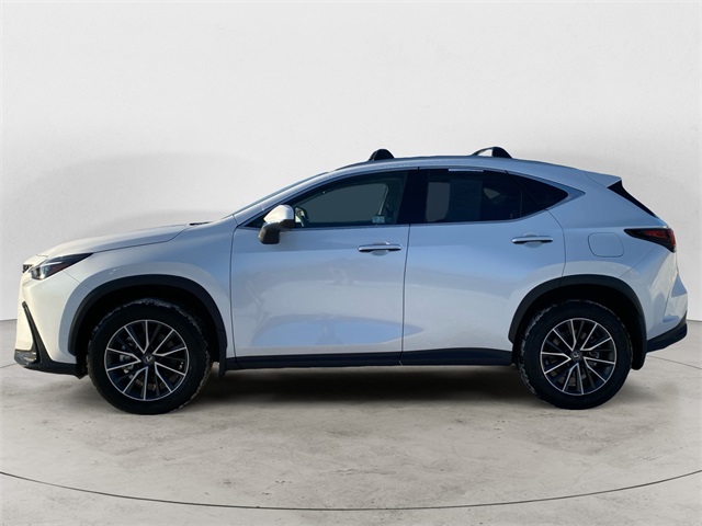 2025 Lexus NX 350h photo 2