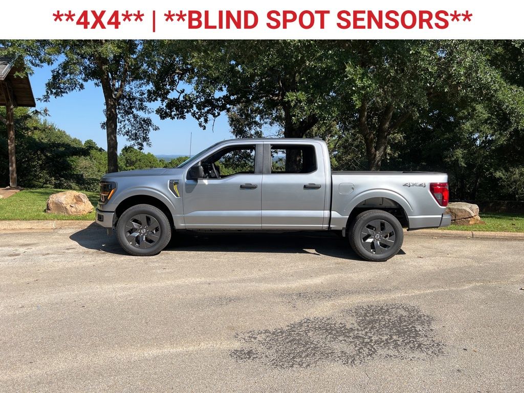 2025 Ford F-150 STX photo 5