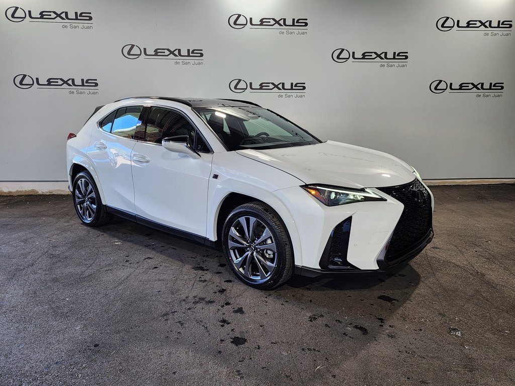 2025 Lexus UX photo 3