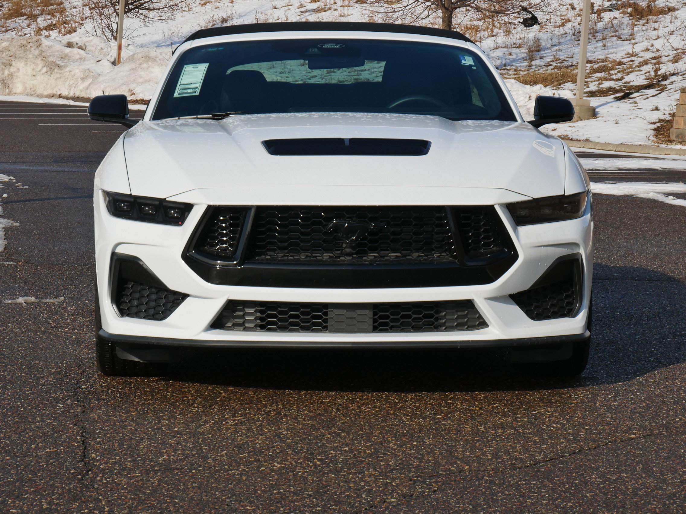 Used 2024 Ford Mustang GT Premium with VIN 1FAGP8FF6R5136319 for sale in Eden Prairie, Minnesota