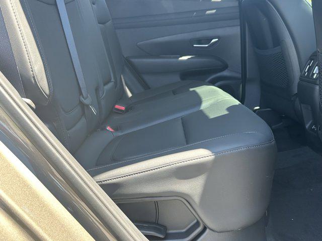 2025 Hyundai Tucson Hybrid SEL Convenience photo 12