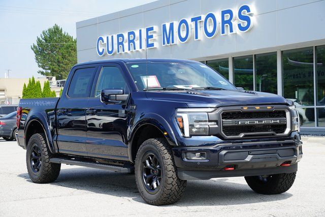 2025 FORD F-150 - Image 1
