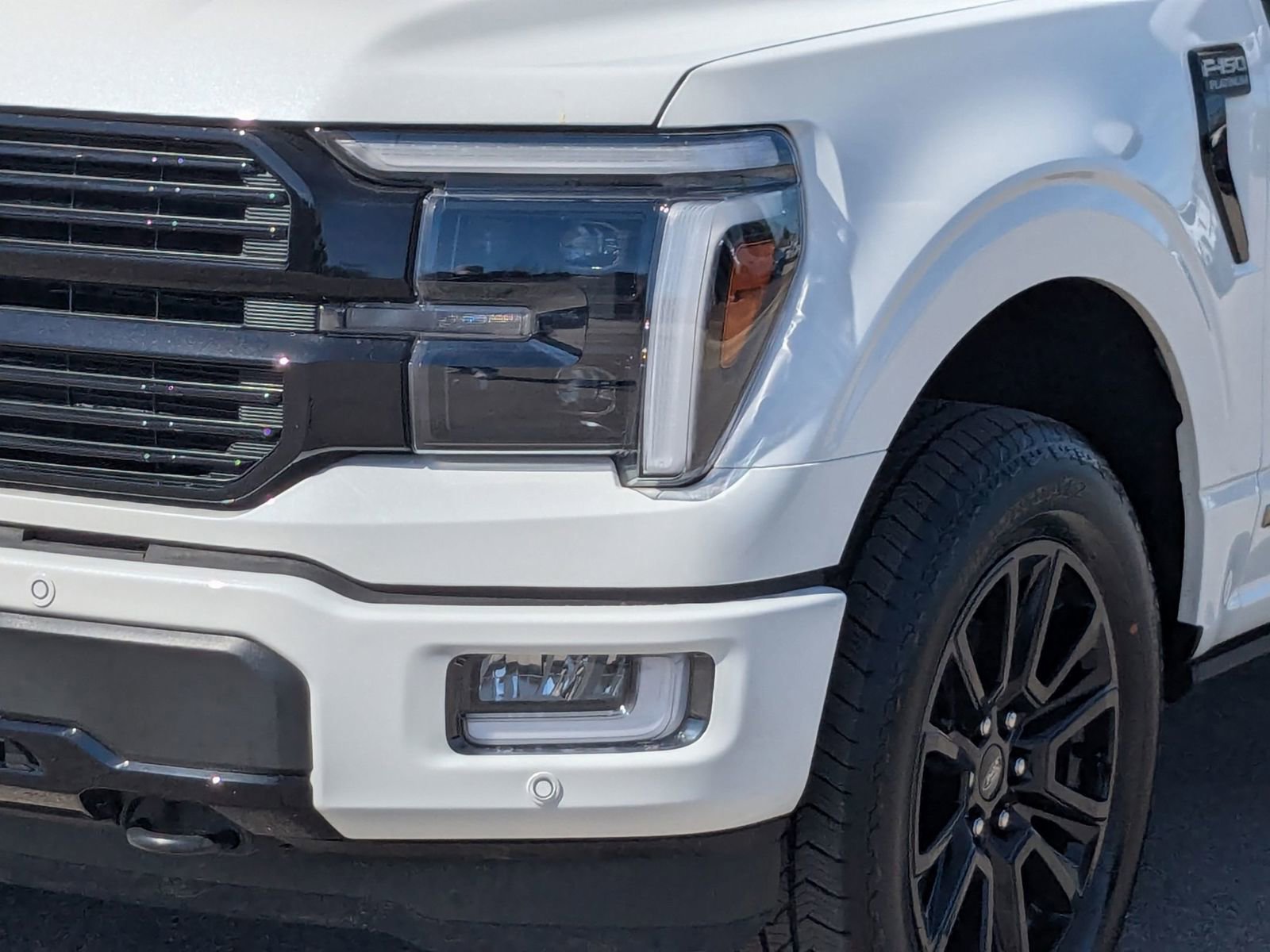 2025 Ford F-150 Platinum photo 2