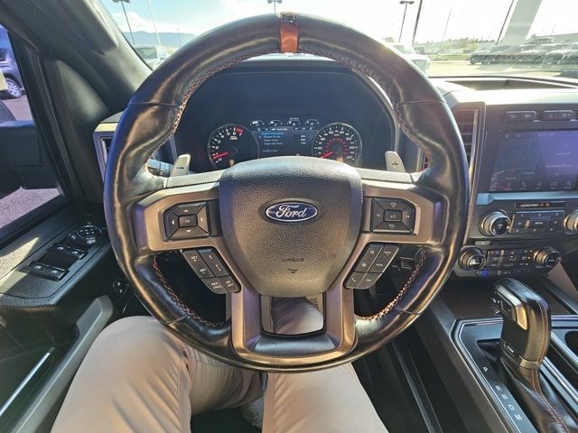 2017 Ford F-150 Raptor photo 10