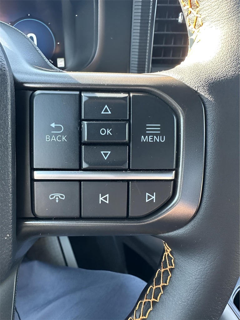 2025 Ford F-150 Tremor photo 19
