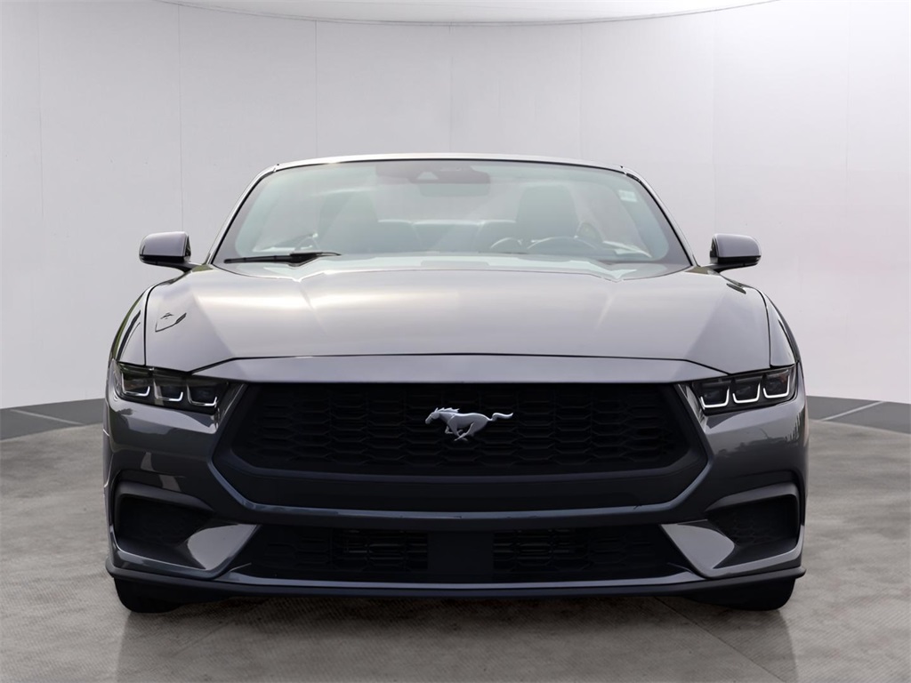 2024 Ford Mustang EcoBoost Premium photo 2