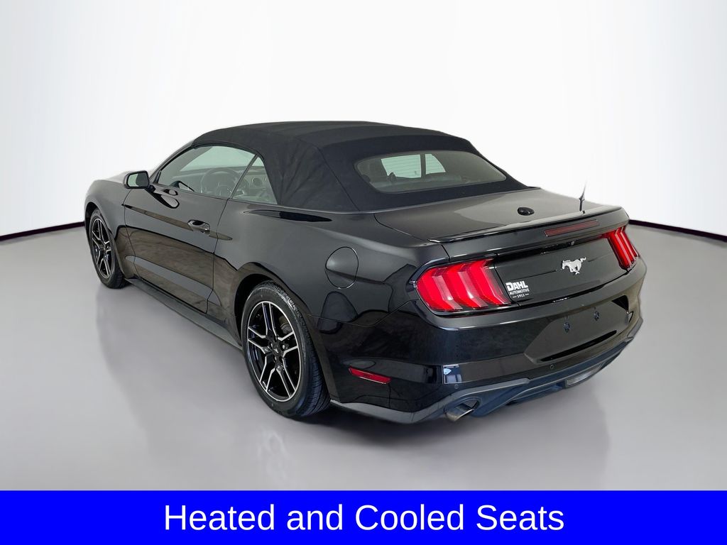2023 Ford Mustang EcoBoost Premium photo 5