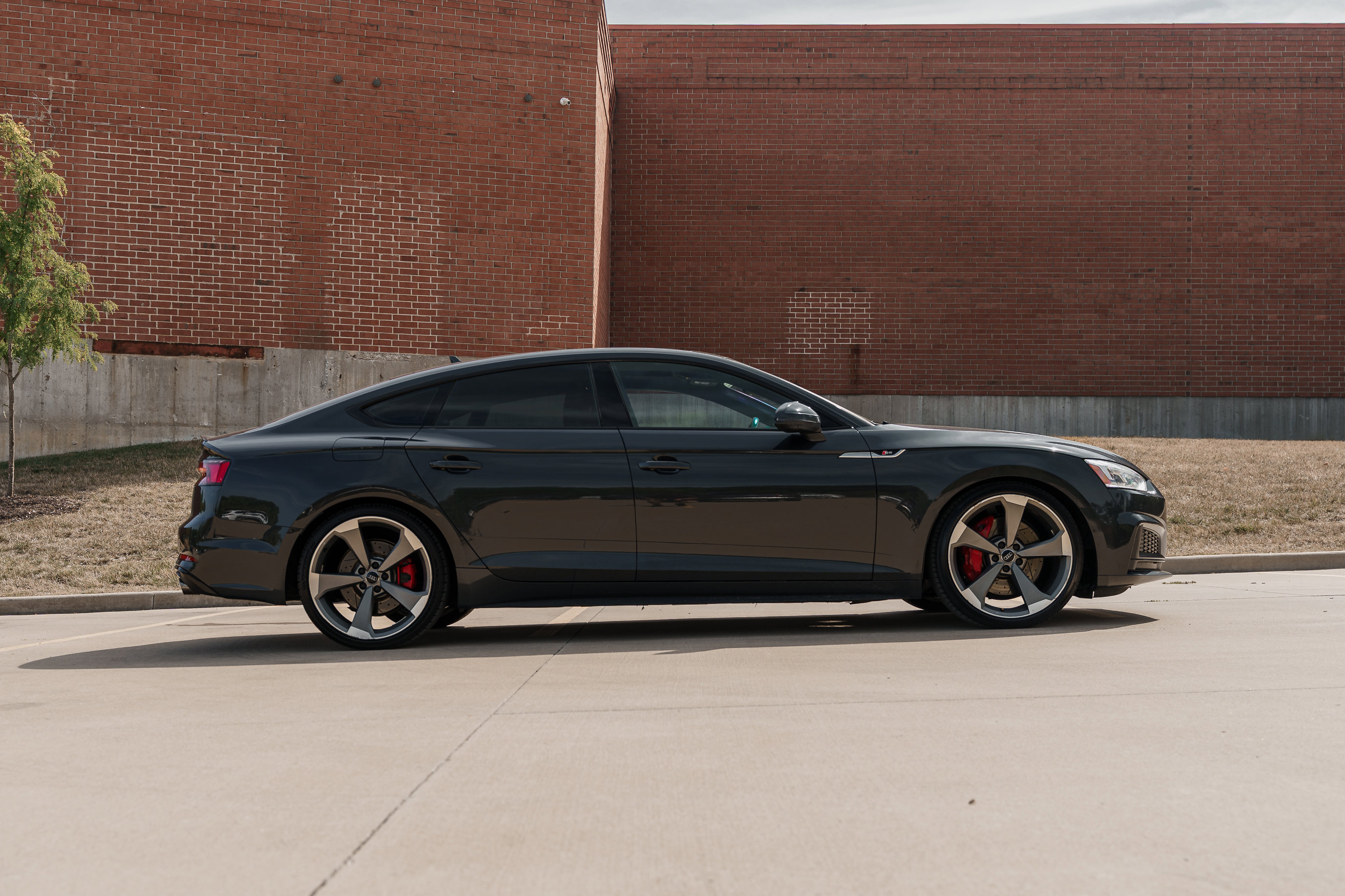 2019 Audi S5 Prestige photo 3