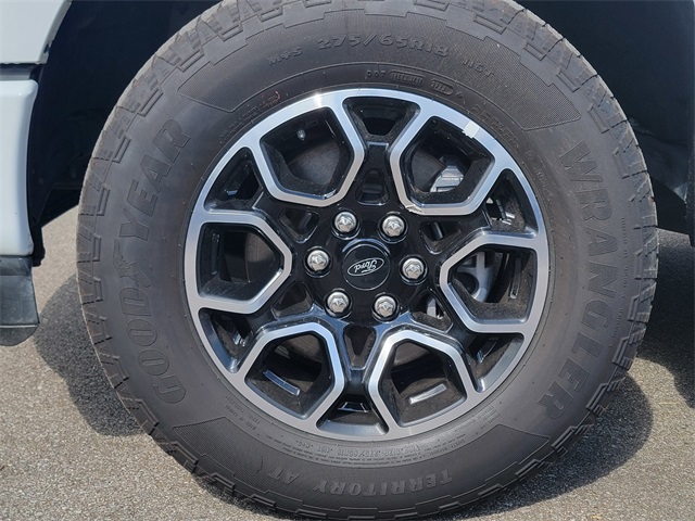 2021 Ford F-150 Lariat photo 10