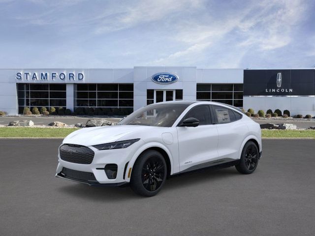 2025 Ford Mustang Mach-E GT AWD's photo