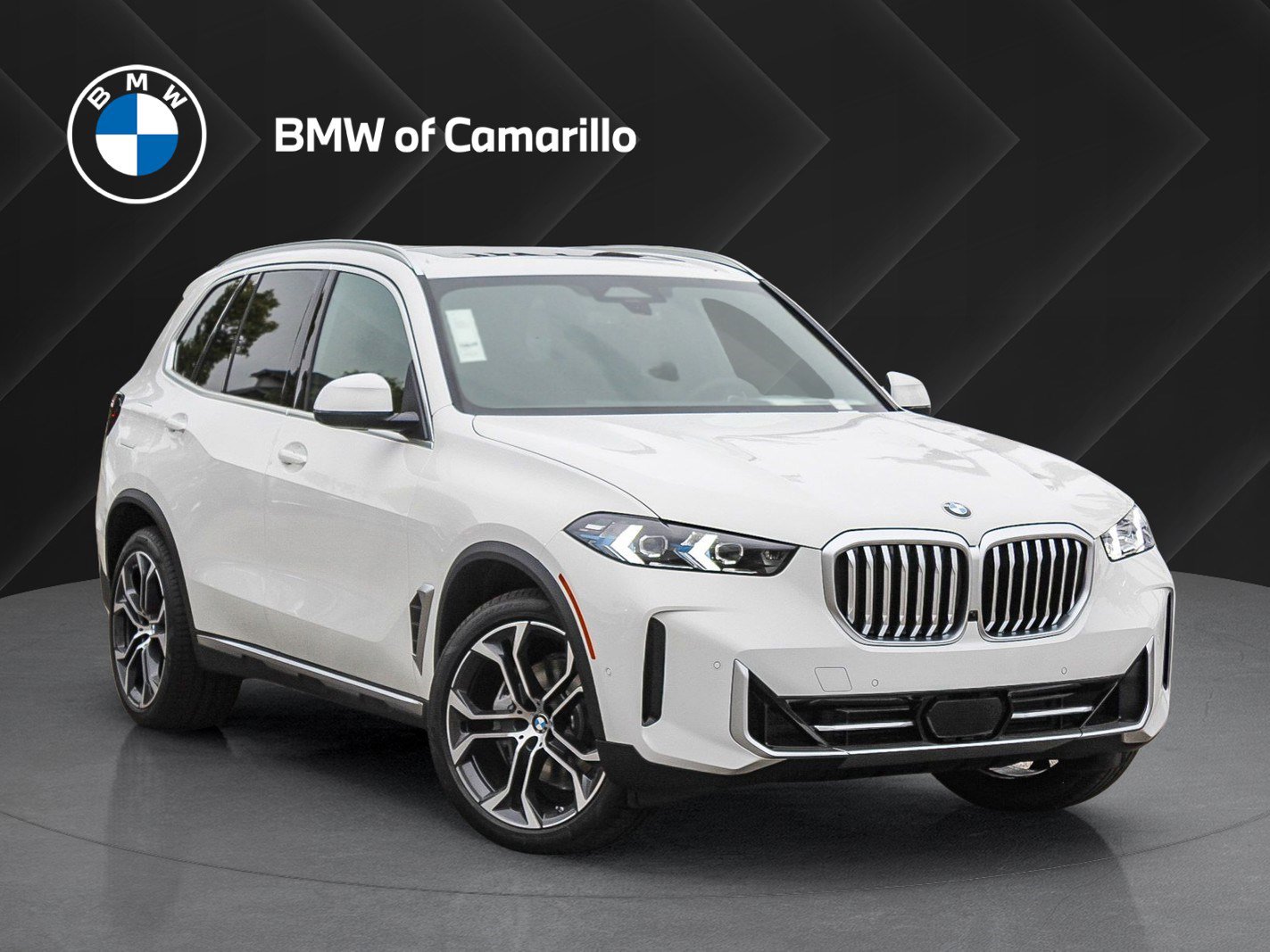 2026 BMW X5 40i's photo
