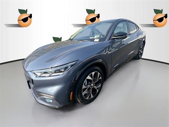 2021 Ford Mustang Mach-E Premium photo 3