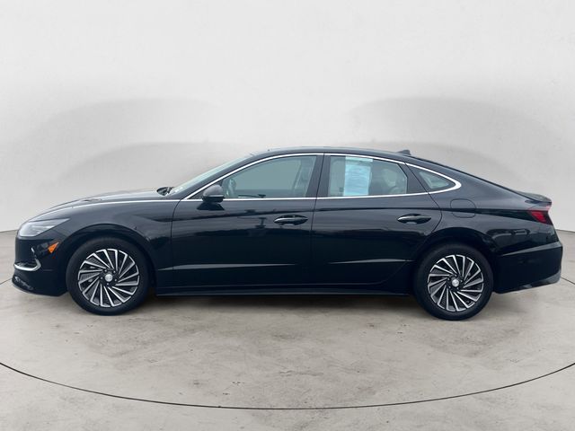2023 Hyundai Sonata Hybrid Limited photo 2