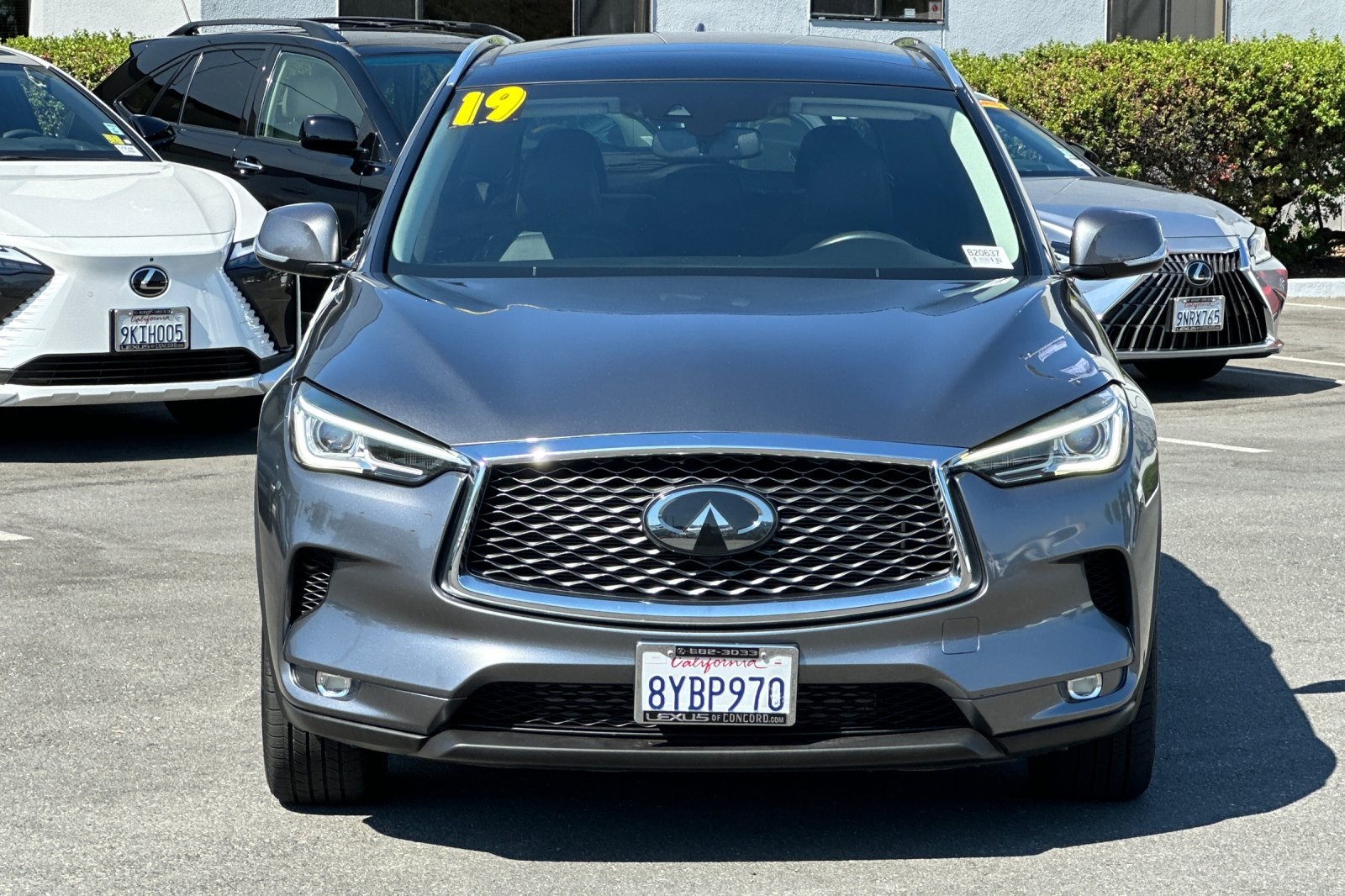 2019 Infiniti QX50 Luxe photo 6