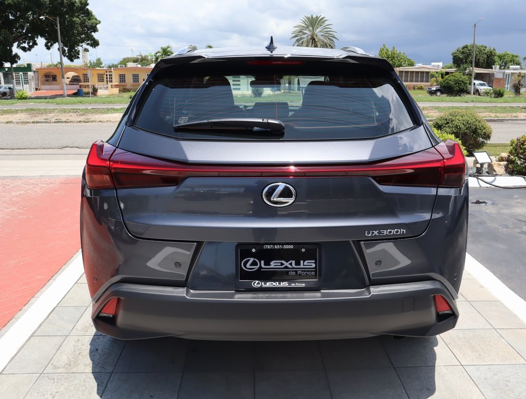 2025 Lexus UX photo 6