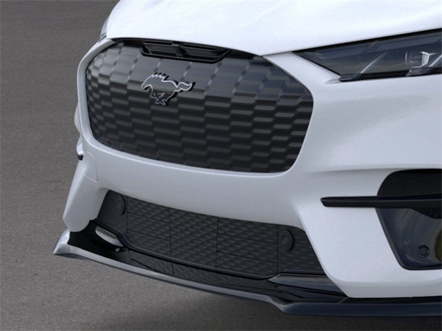 2025 Ford Mustang Mach-E GT photo 12