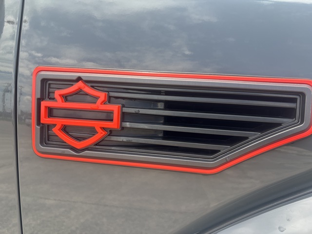 2019 Ford F-150 Lariat photo 29