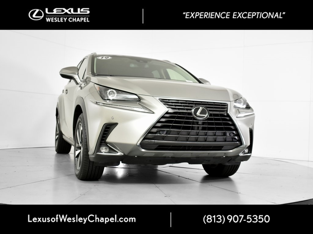 2019 Lexus NX 300's photo
