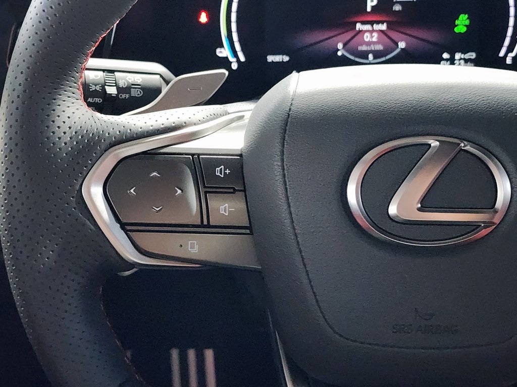2025 Lexus NX 450h+ F SPORT photo 14