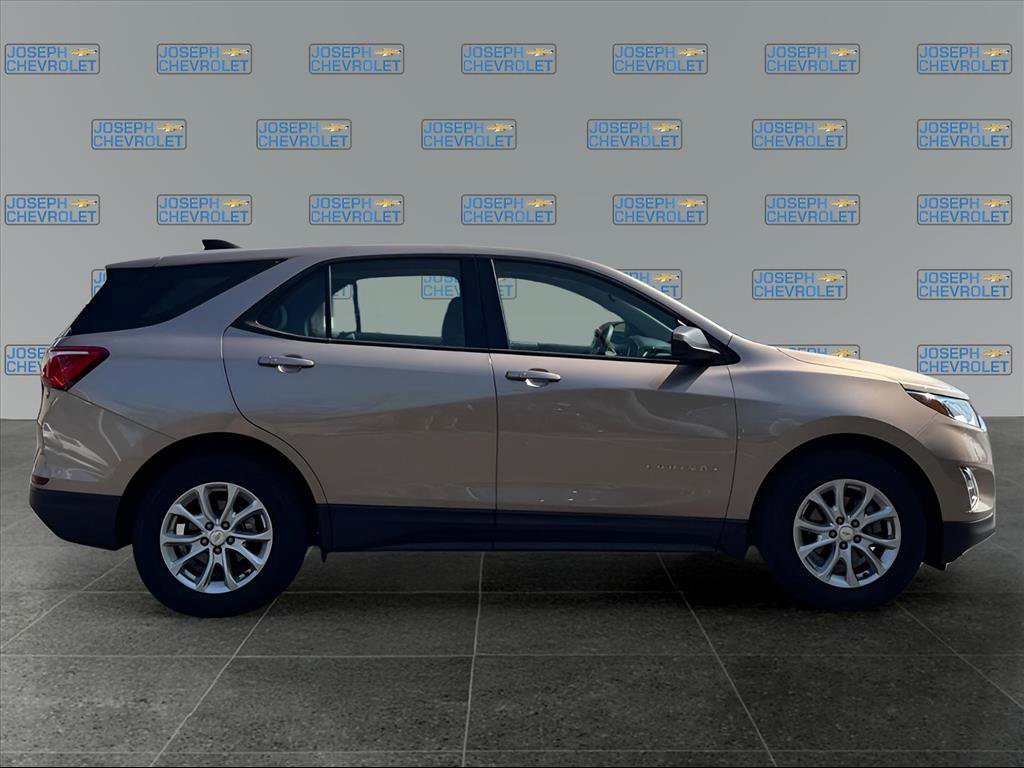 2019 Chevrolet Equinox LS photo 4