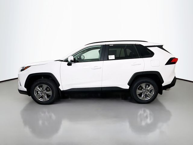 2025 Toyota RAV4 XLE photo 3