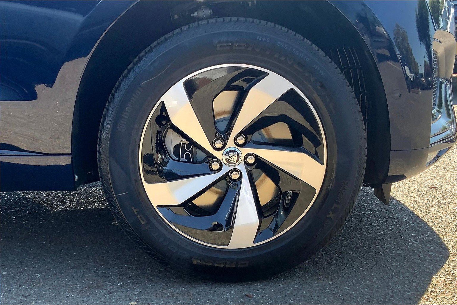 2026 Jaguar F-PACE P250 R-Dynamic S photo 12