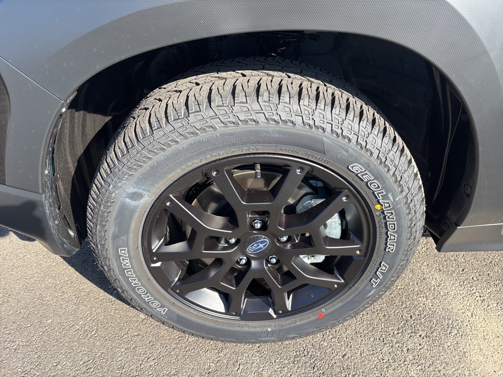 2025 Subaru Crosstrek Wilderness photo 7