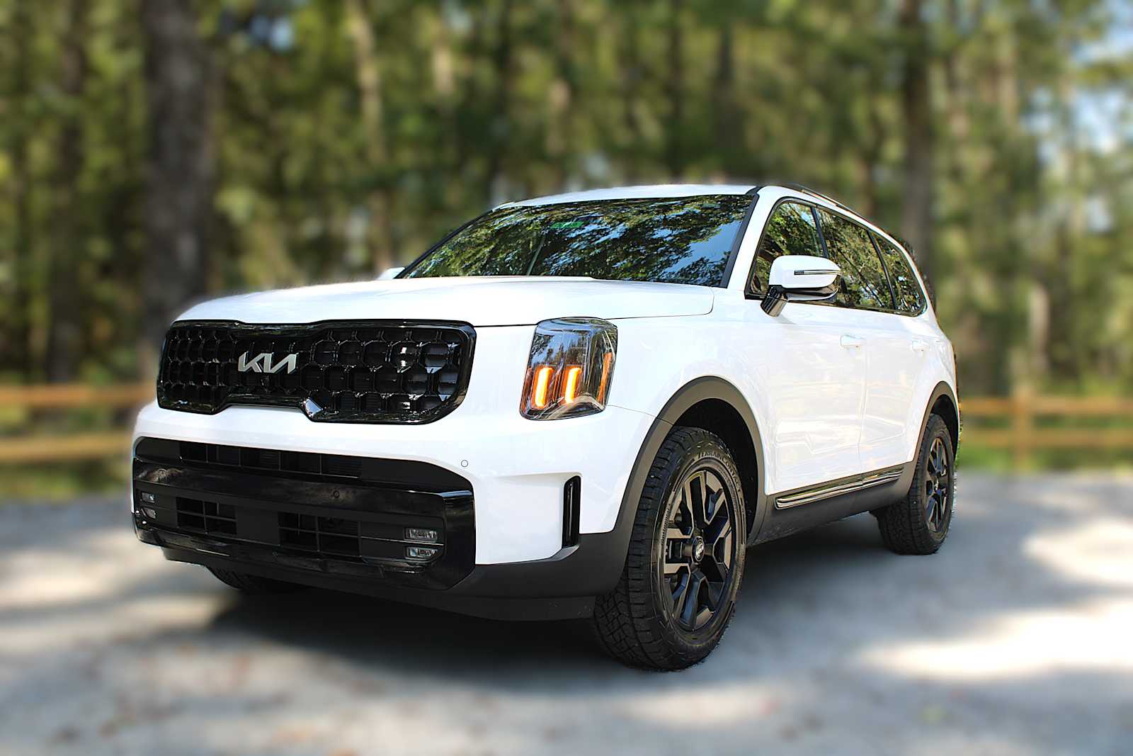 2025 Kia Telluride SX X-Line photo 2