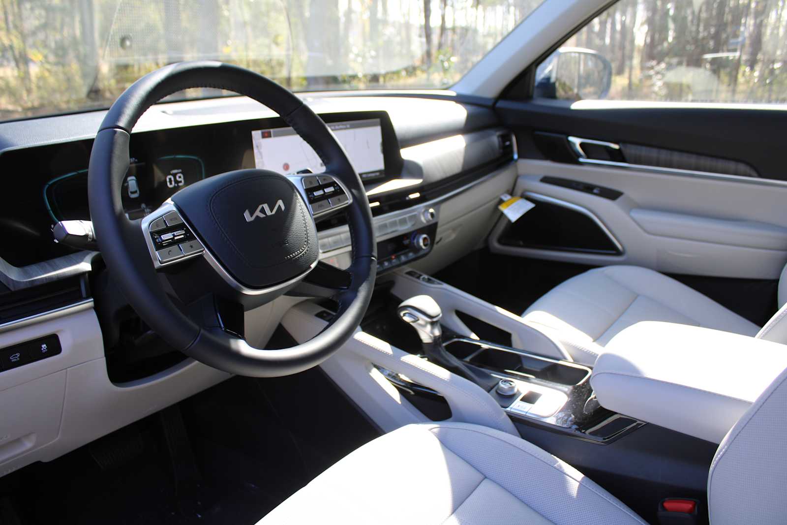 2025 Kia Telluride EX photo 18