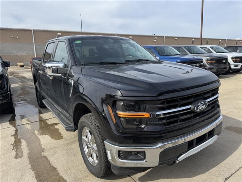 2025 Ford F-150 XLT photo 3