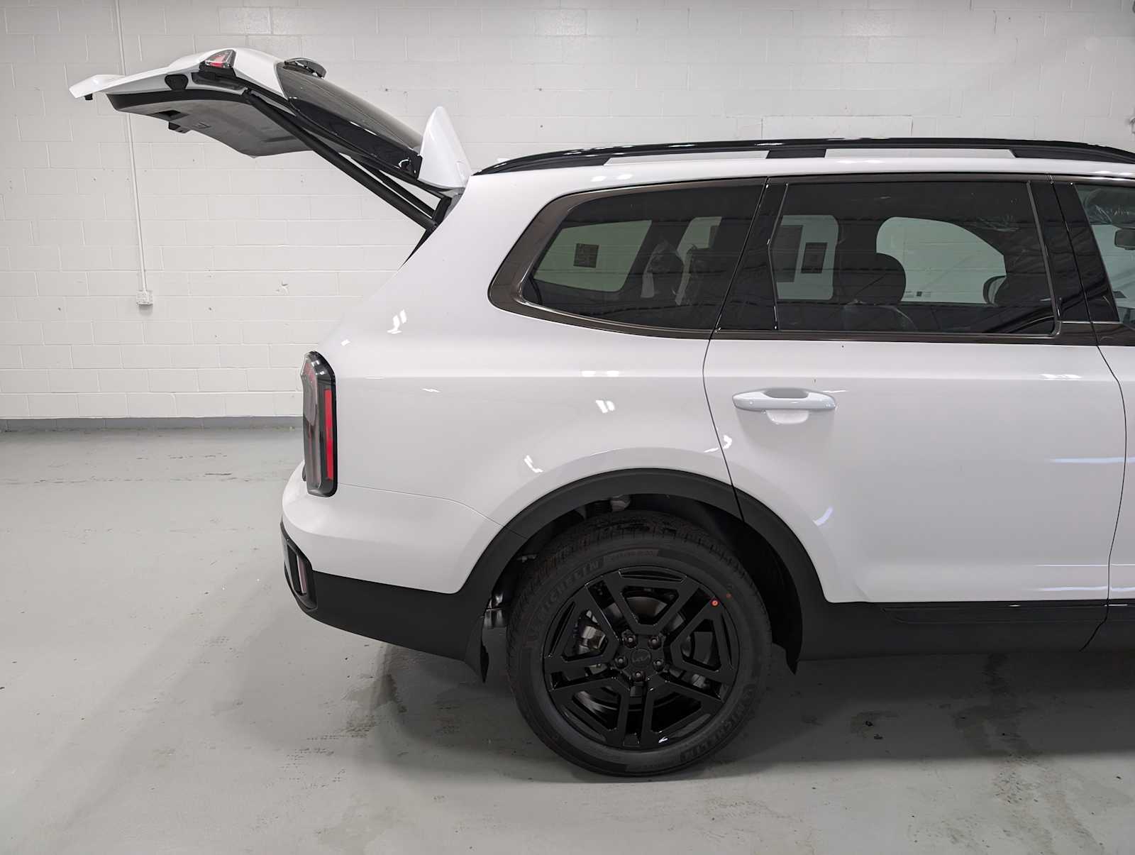 2025 Kia Telluride EX X-Line photo 8