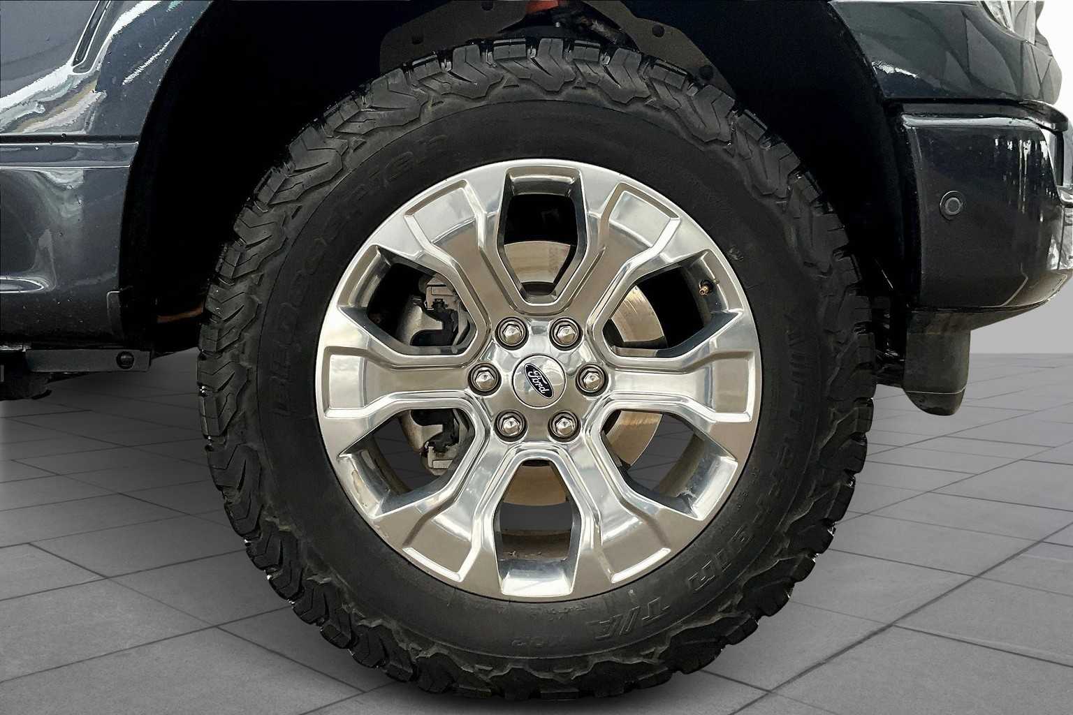 2021 Ford F-150 Platinum photo 9
