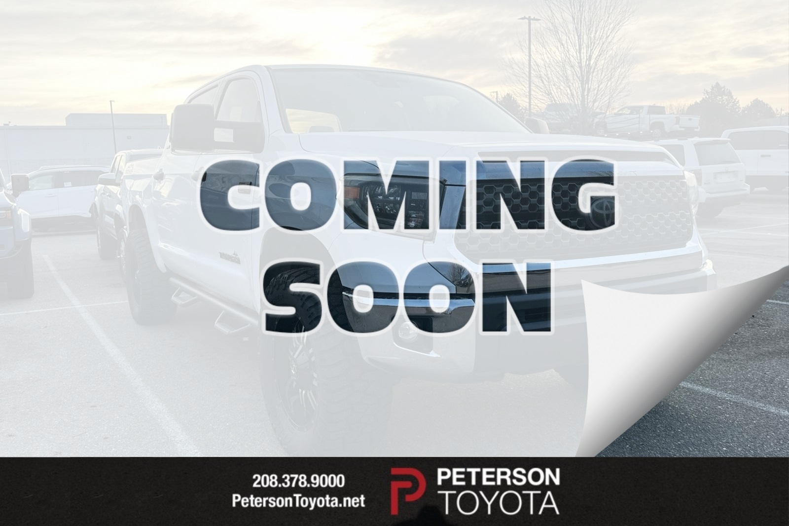 2020 Toyota Tundra SR5's photo