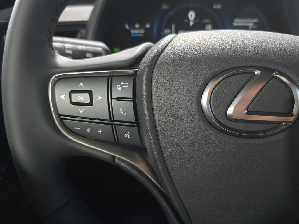 2025 Lexus UX photo 13