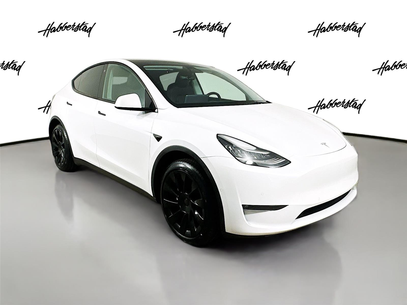 2021 Tesla Model Y Long Range photo 3