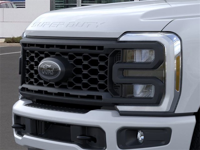 2025 Ford F-250 photo 17