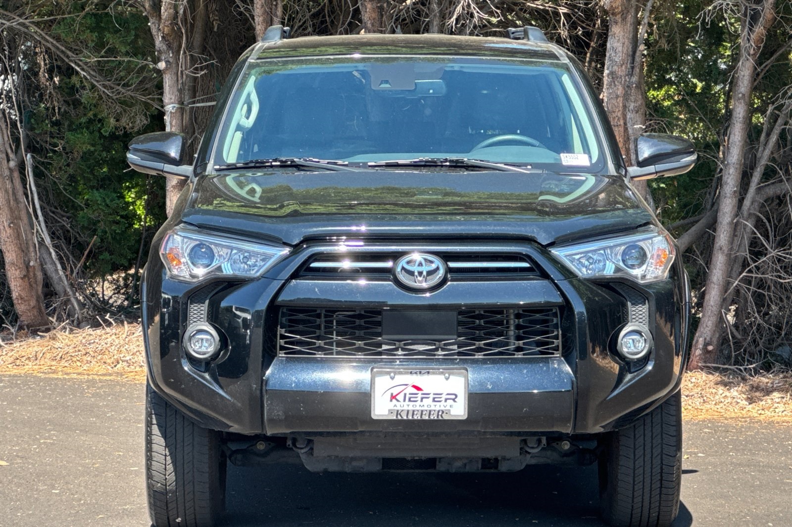 2024 Toyota 4Runner SR5 Premium photo 8