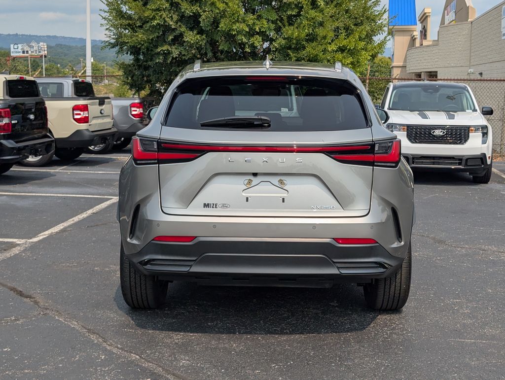 2023 Lexus NX 250 Premium photo 4