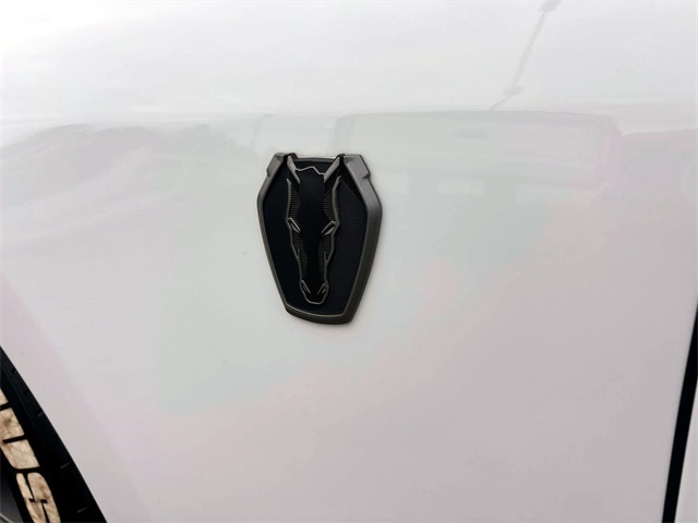 Used 2024 White Ford Dark Horse image 8