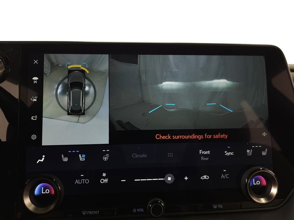 2024 Lexus RX 350h photo 22
