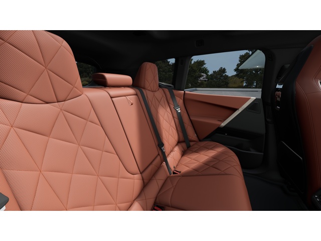 2026 Bmw iX photo 12