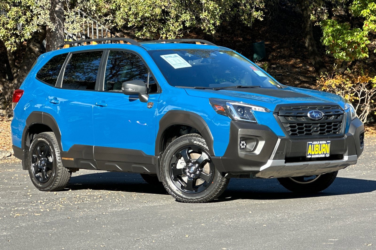 2024 Subaru Forester Wilderness photo 2