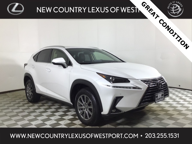 2020 Lexus NX 300's photo