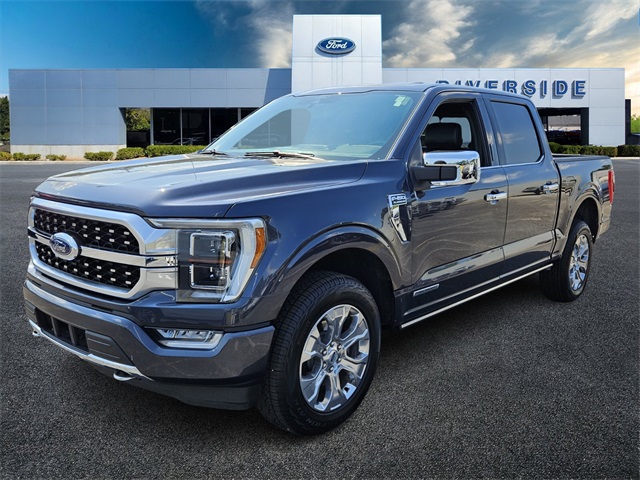 2021 Ford F-150 Platinum photo 3
