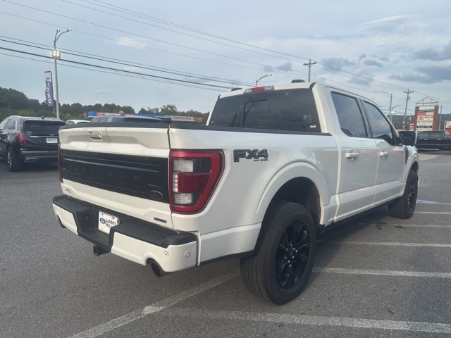 2023 Ford F-150 Platinum photo 5