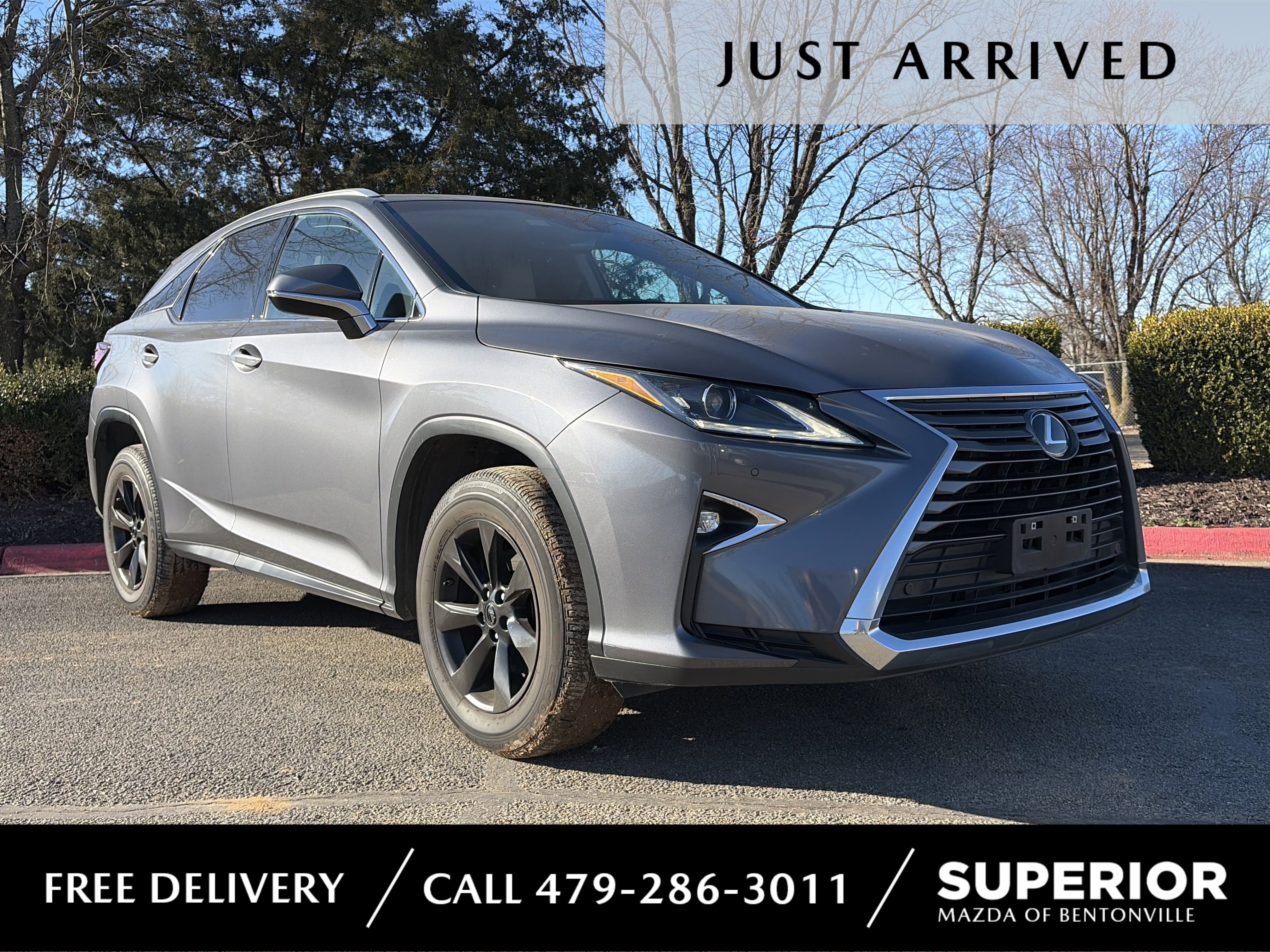 2017 Lexus RX Base's photo