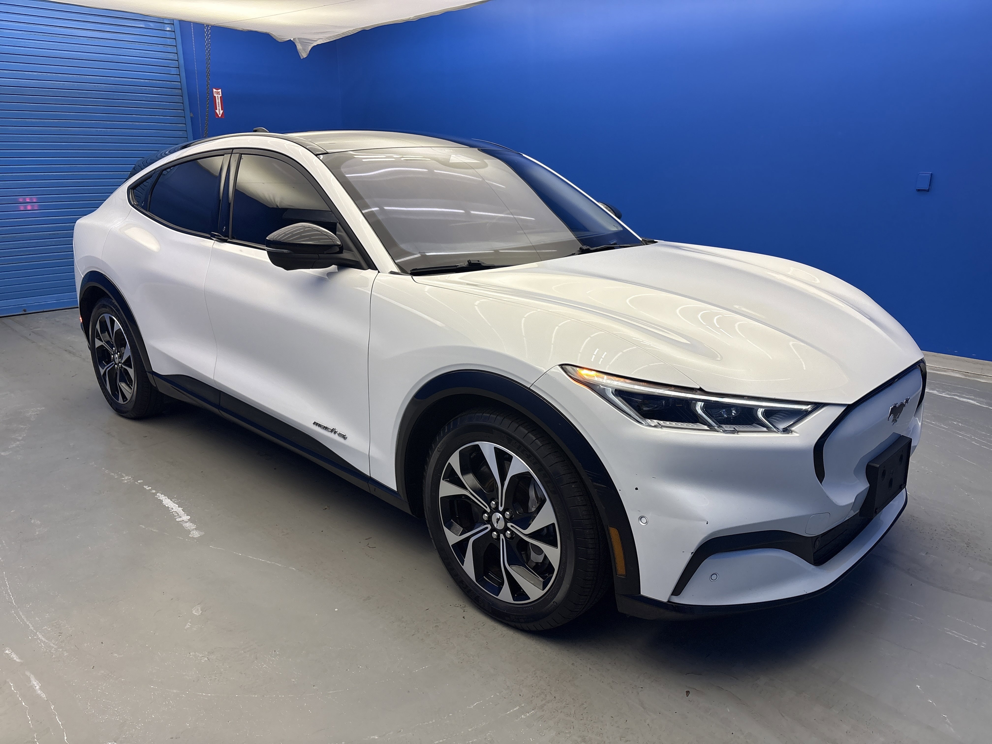 Used 2021 Ford Mustang Mach-E Premium AWD with VIN 3FMTK3SS6MMA19285 for sale in Jeffersontown, KY