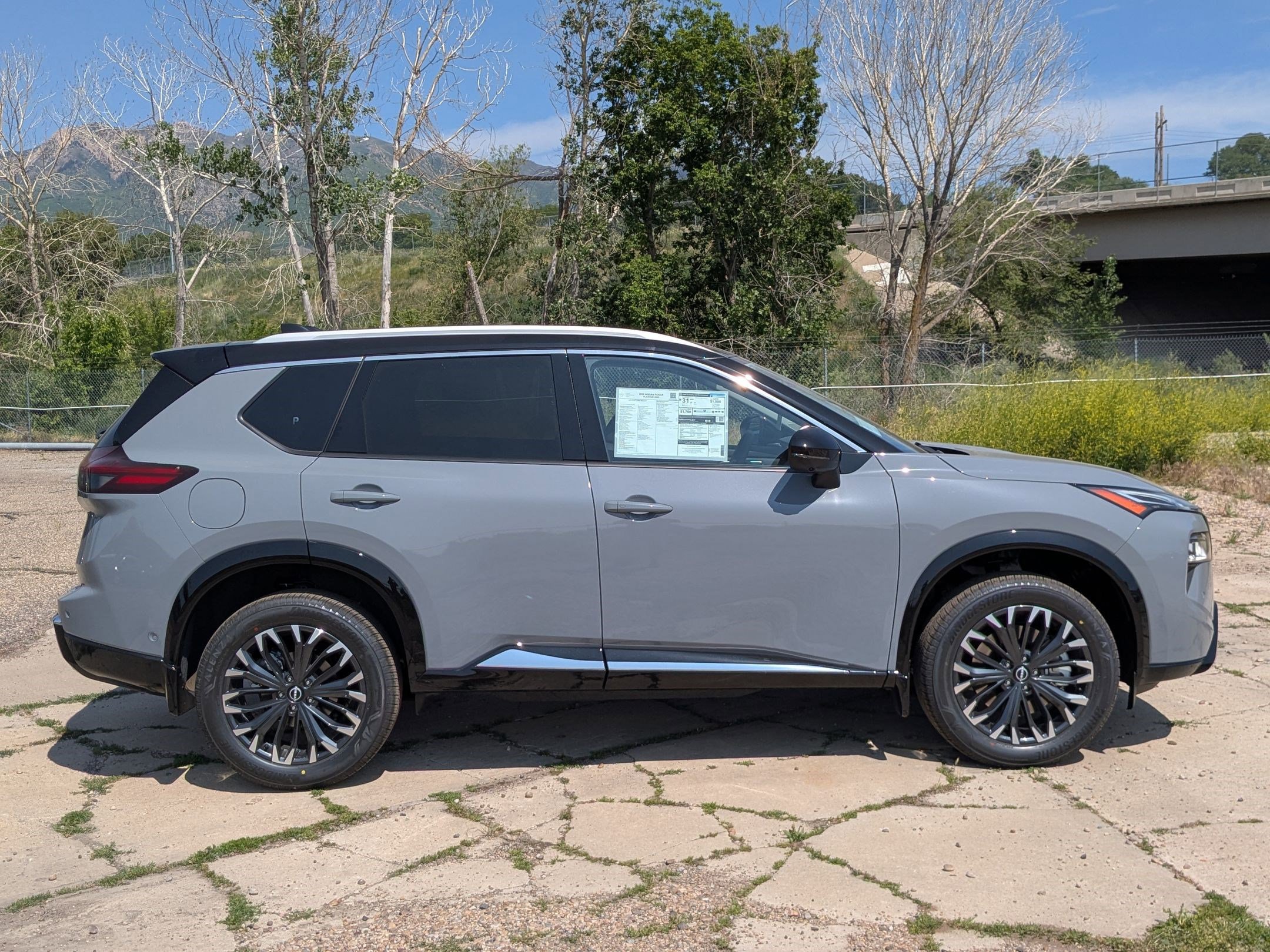 2025 Nissan Rogue Platinum photo 2